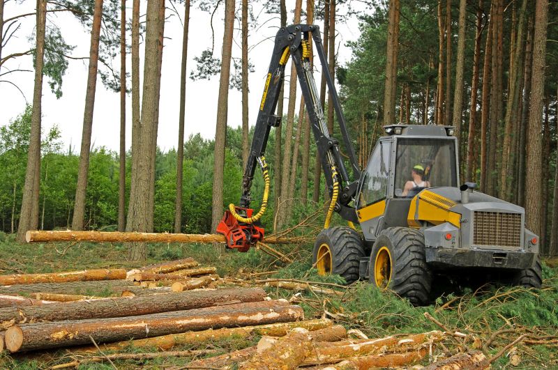 Land Clearing with Heavy Machinery